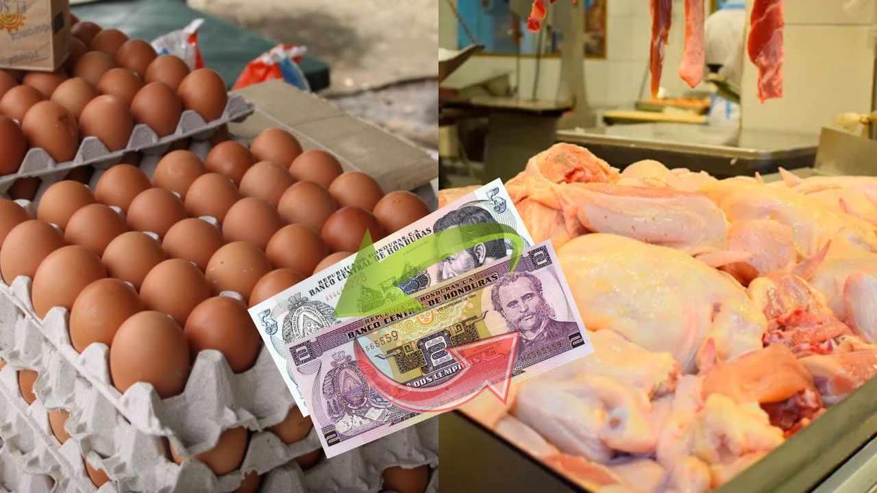 L5 rebaja el precio de los huevos y L2 sube la libra de pollo en mercado capitalino