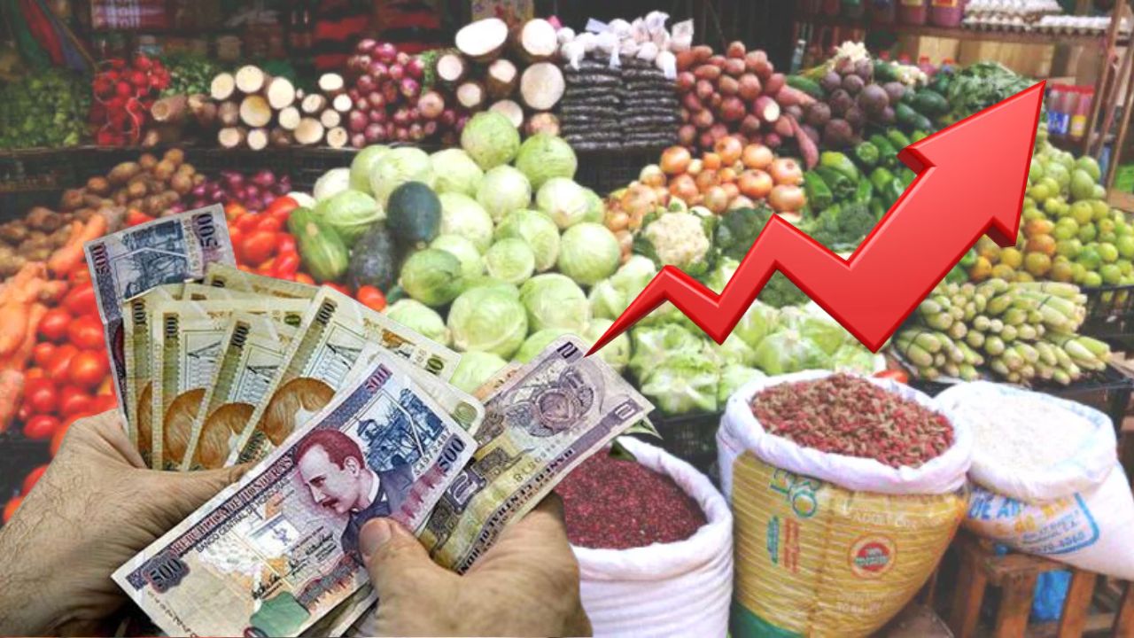 Precio de unos 20 productos de la canasta básica podrían aumentar en los próximos días: Adecabah