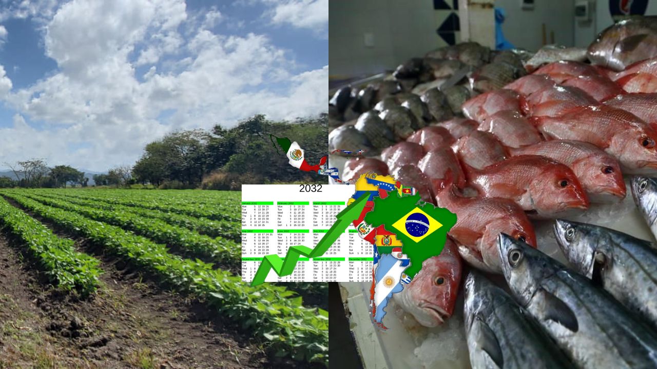 Imagen de Producción agrícola y pesquera crecerá 12% en América Latina y el Caribe para 2032