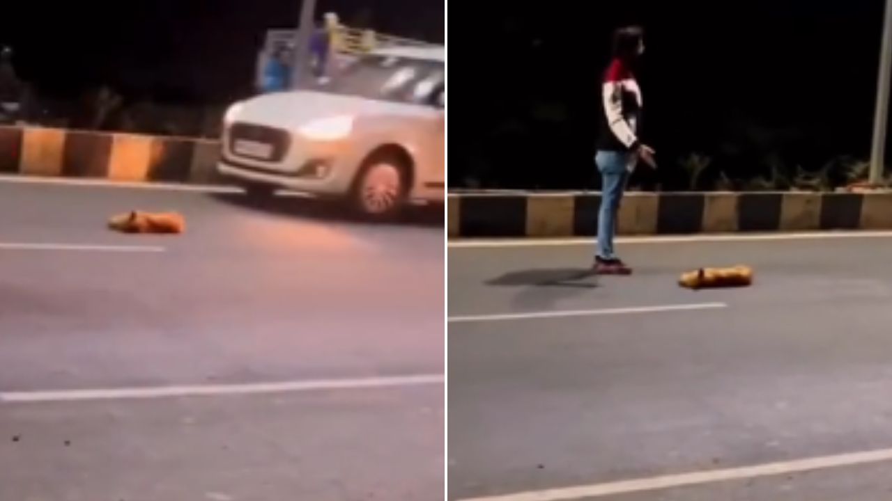 ¡Lo salvó de una muerte solitaria! Joven rescata a perrito que estaba tirado en una carretera