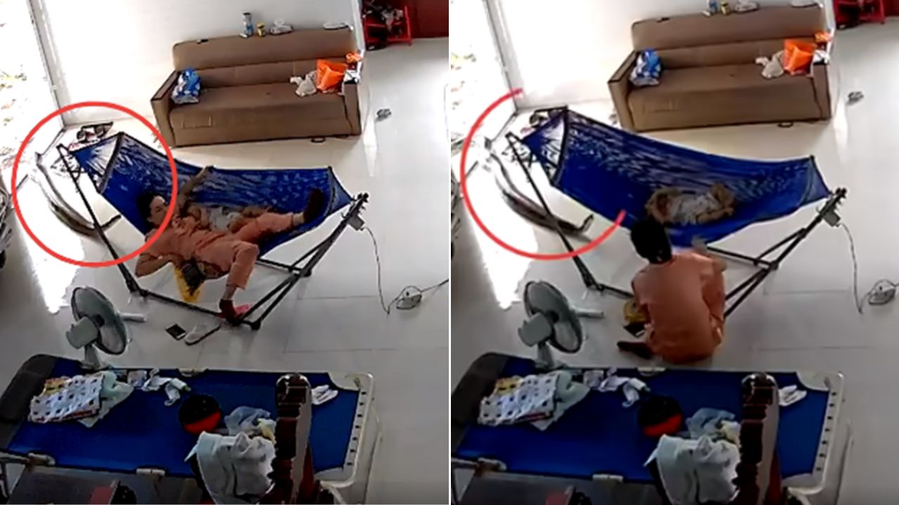 VIDEO: Enorme serpiente pitón le aparece a madre que estaba acostada con su bebé