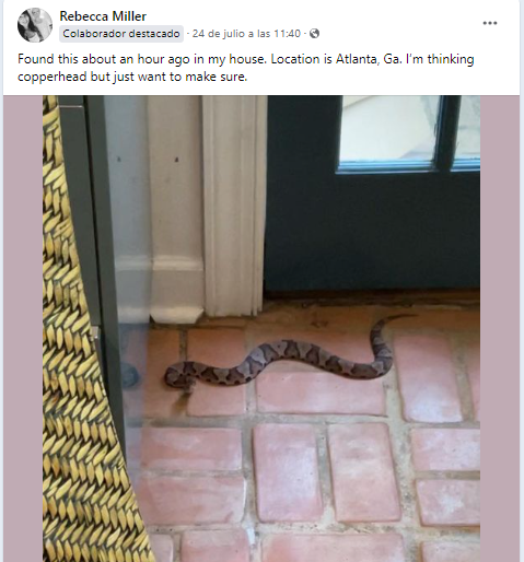 La publicación de la fémina alcanzó miles de reacciones en Facebook. Foto: Redes sociales