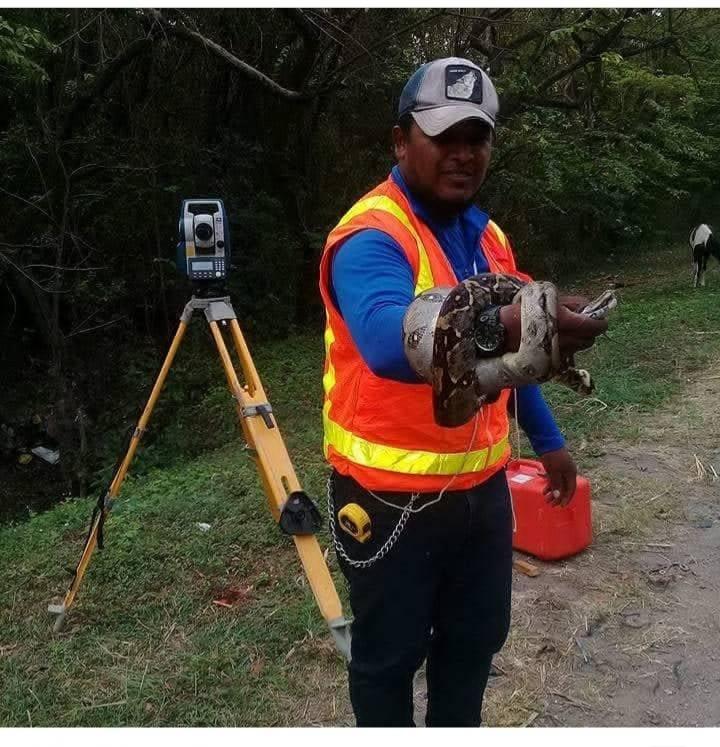 Imagen de cuerpo de nota