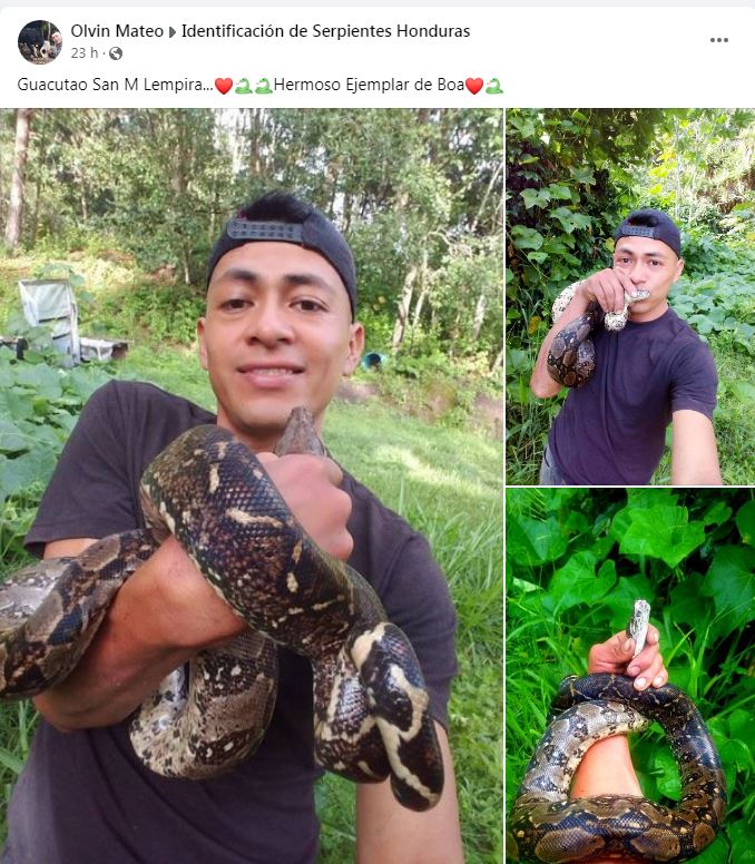 Imagen de cuerpo de nota