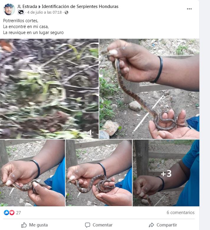 Imagen de cuerpo de nota