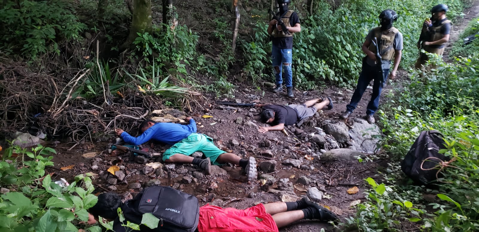 Imagen de cuerpo de nota