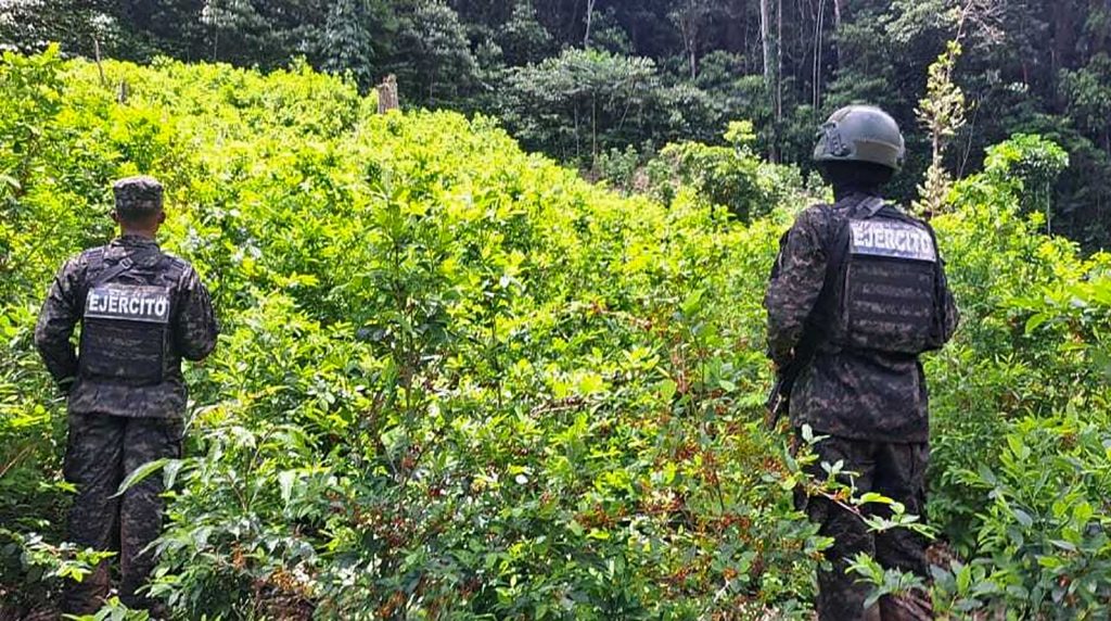 Imagen de cuerpo de nota