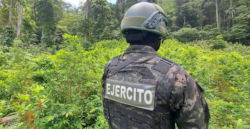 Imagen de cuerpo de nota