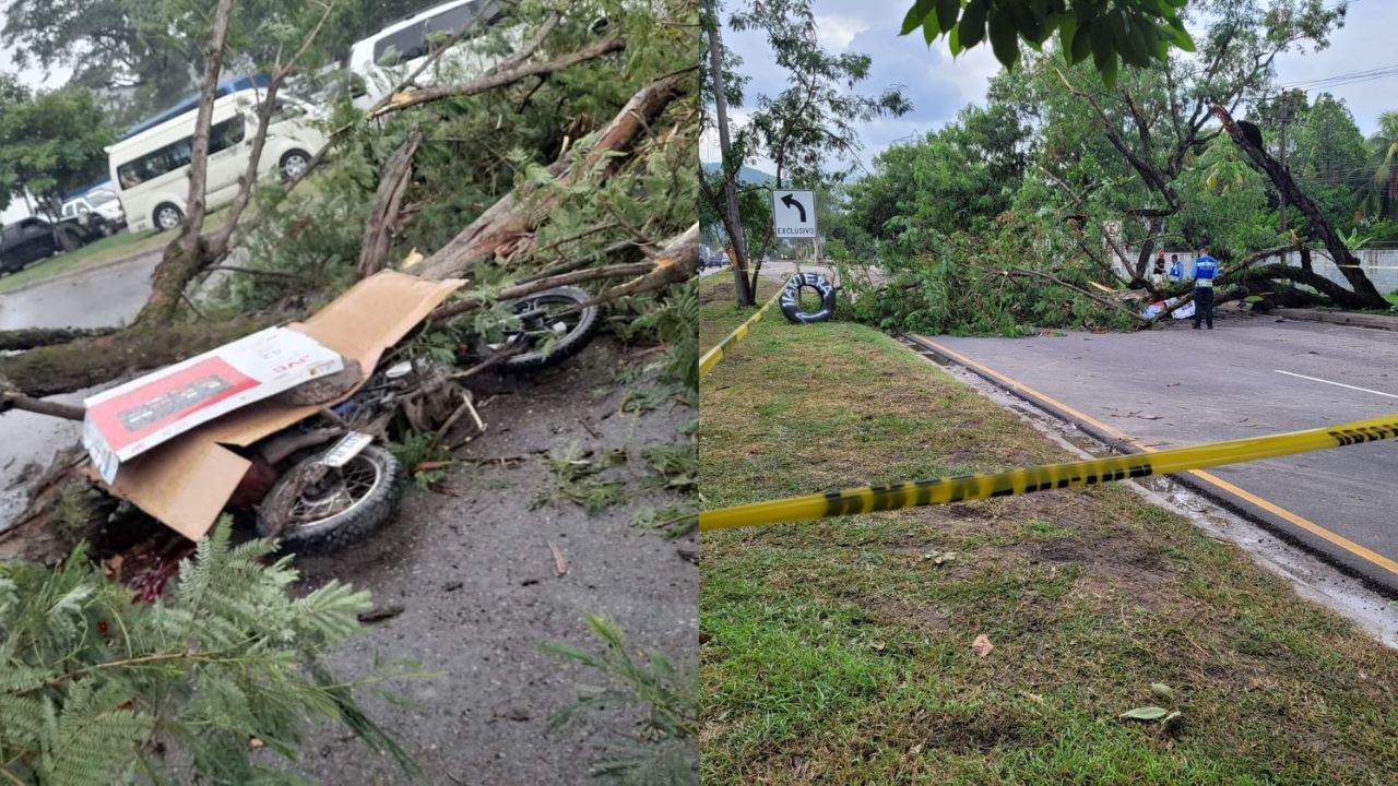 El hecho se registró en horas de la tarde de este jueves. Foto: Diseño HRN