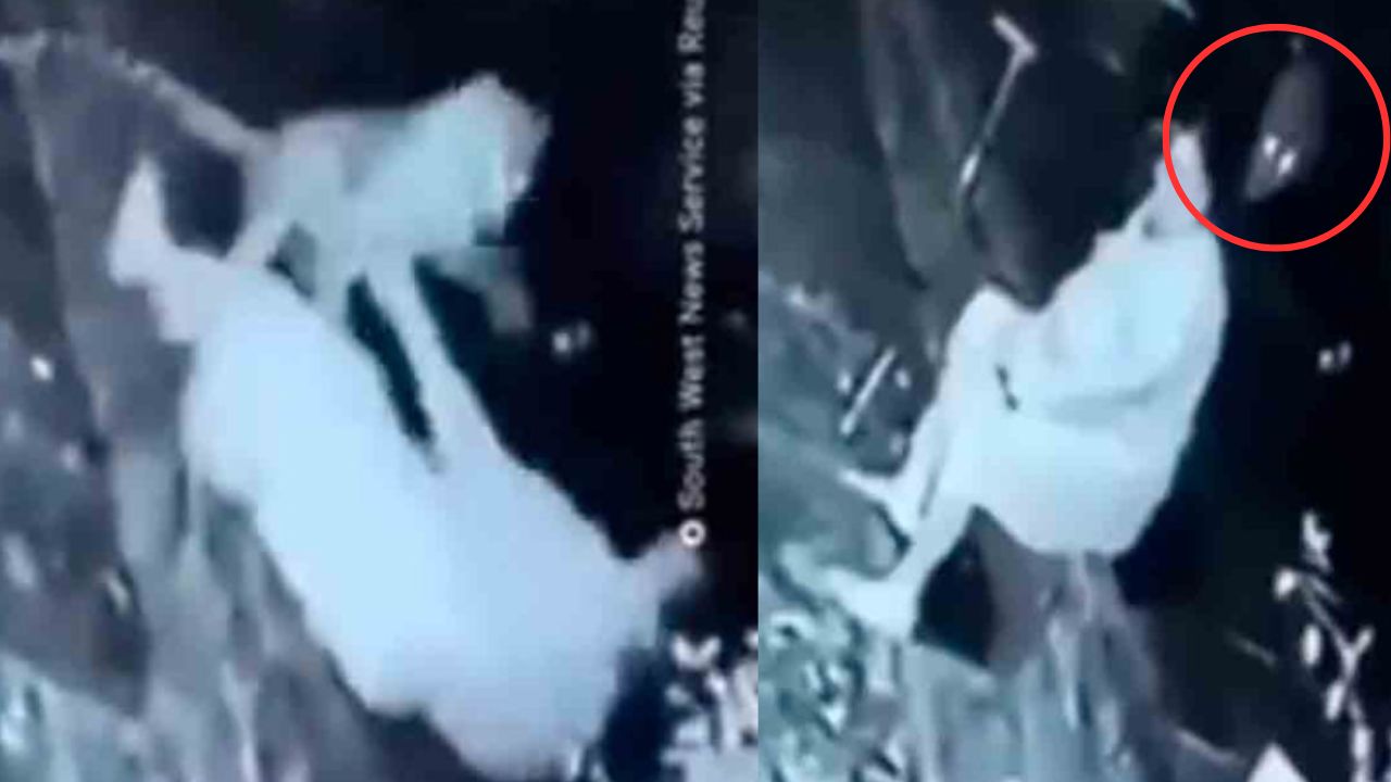 Abuelita peleó salvajemente con un jaguar: así logró sobrevivir