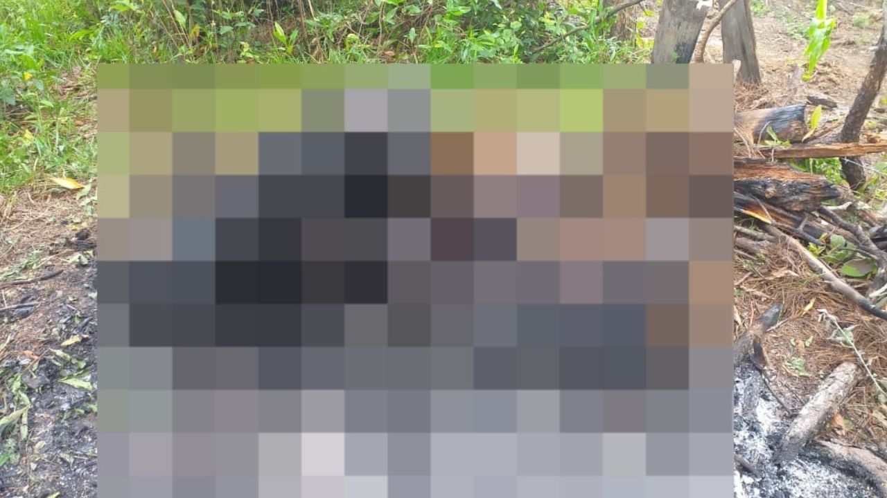 Nueva masacre: encuentran calcinadas a cuatro personas en Yamaranguila, Intibucá