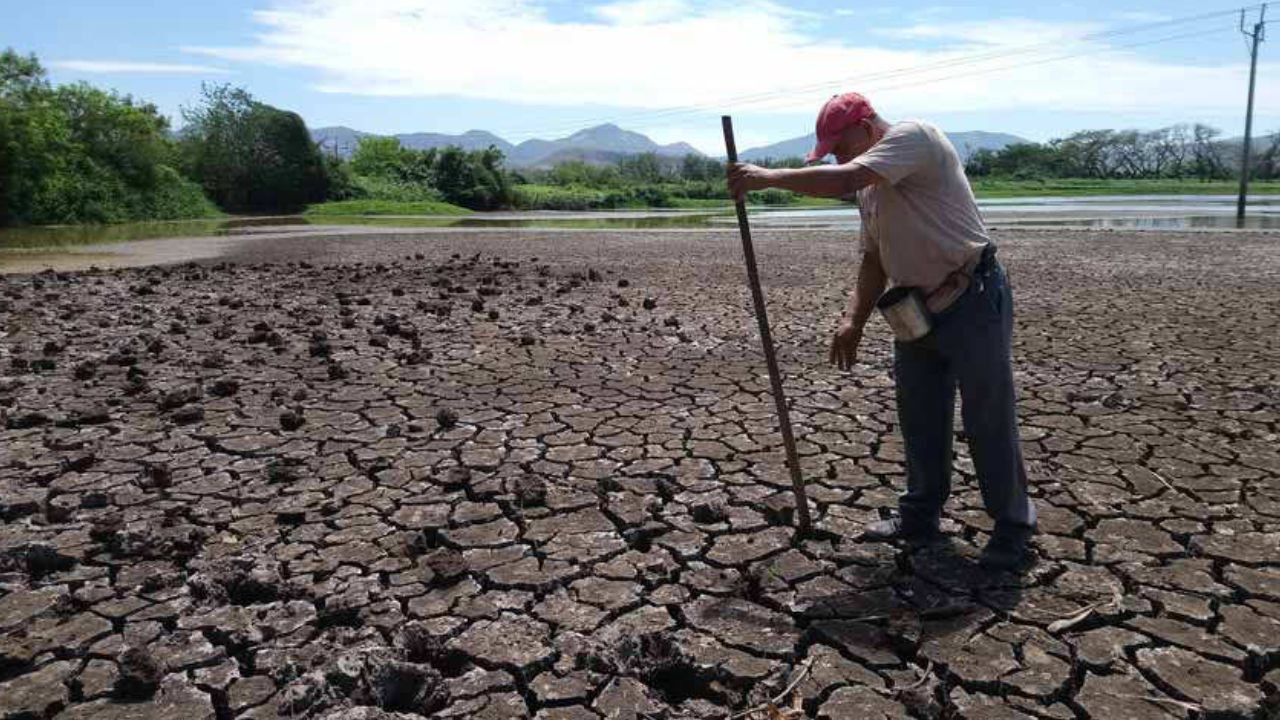 Fenómeno El Niño: En alerta el Corredor Seco de Centroamérica por disminución de lluvia