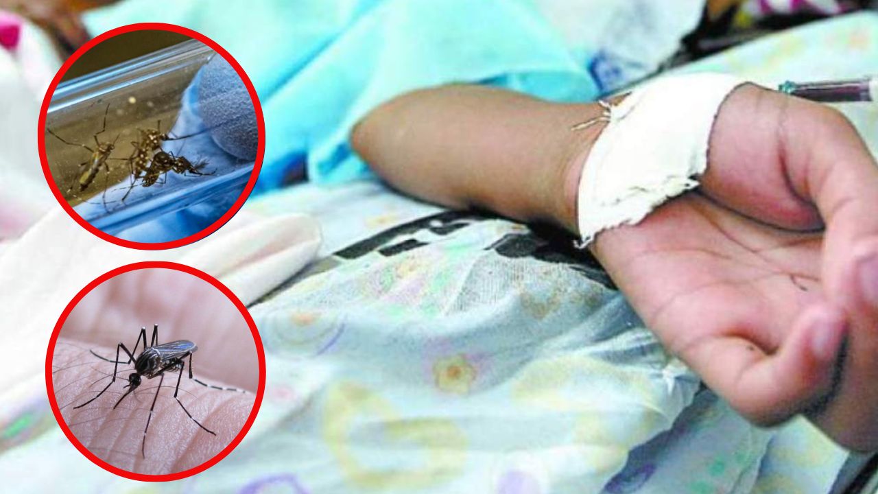 Más de 11 mil casos de dengue en Honduras, reportan galenos