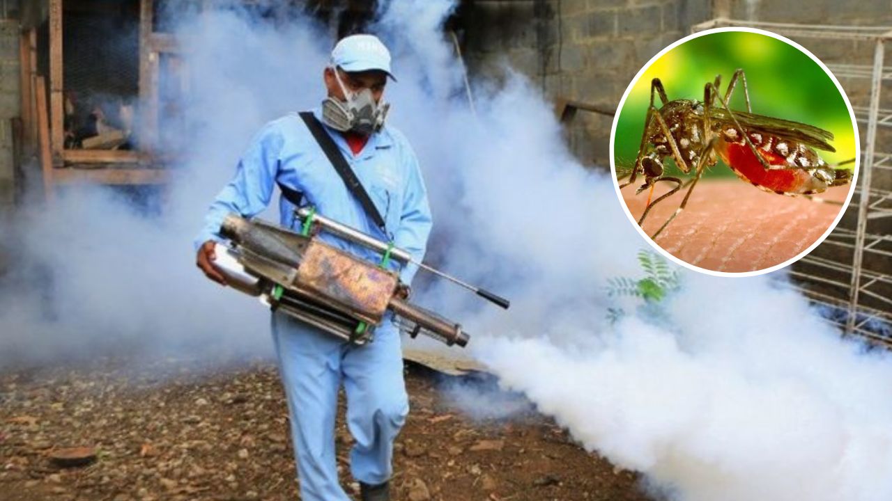 Nicaragua uno de los países de Centroamérica con más casos de dengue, confirman autoridades de Salud