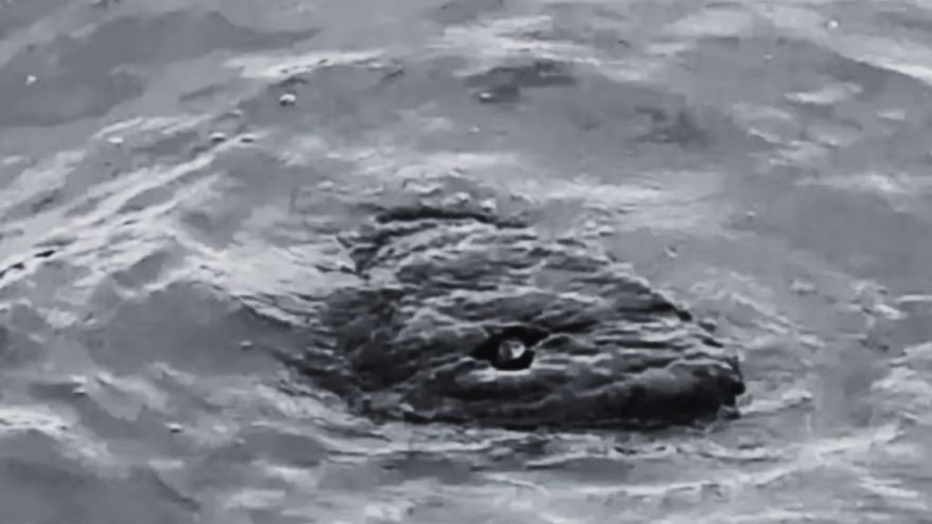 Imagen de cuerpo de nota