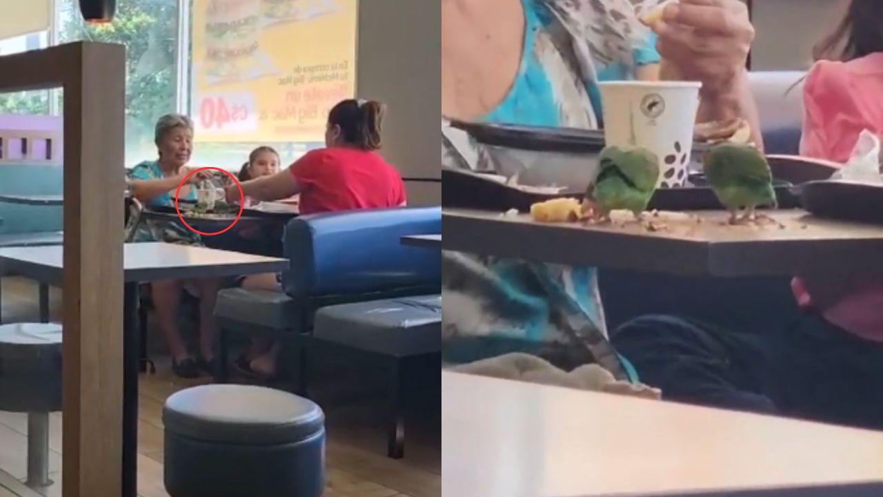 'Un bello acto': Familia lleva a comer a sus pericos a un restaurante
