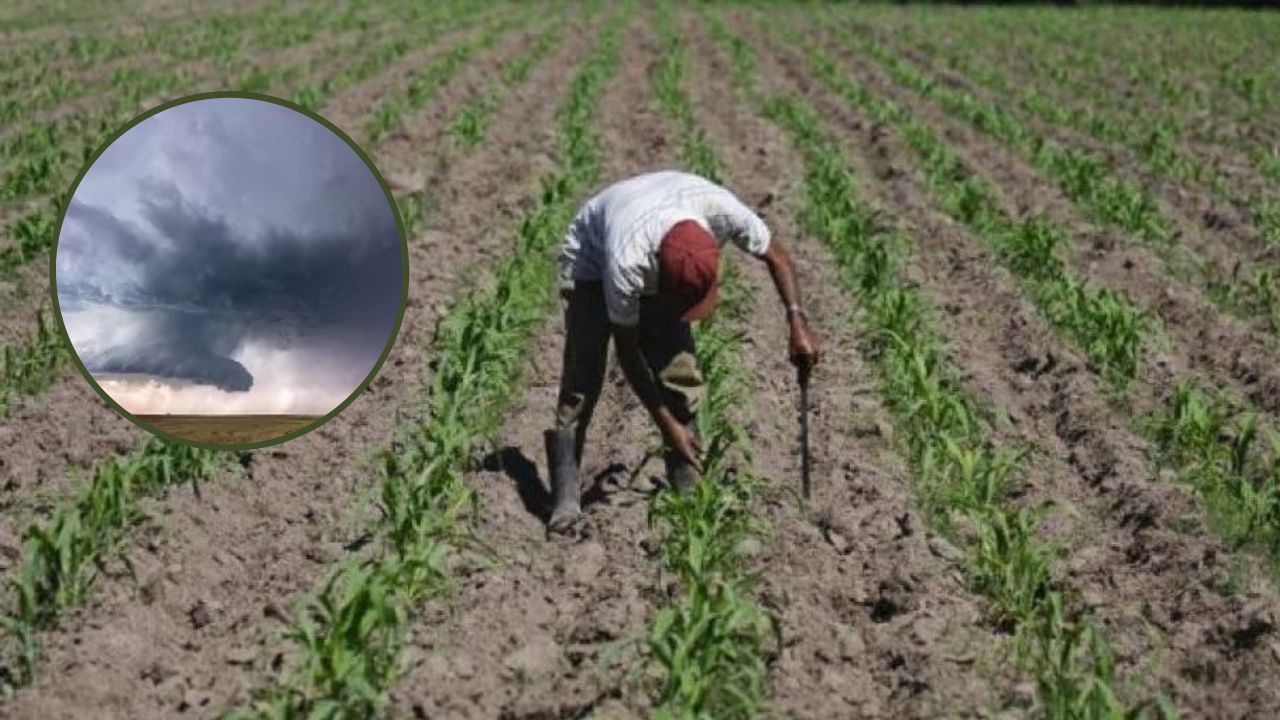 Productores están alarmados por 'Niño Fuerte'; temen pérdidas en zona sur y en Olancho