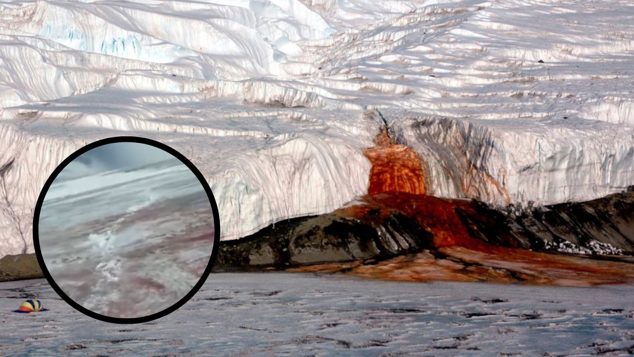 VÍDEO: ¿Alguna señal? Glaciar se tiñe de rojo en Rusia
