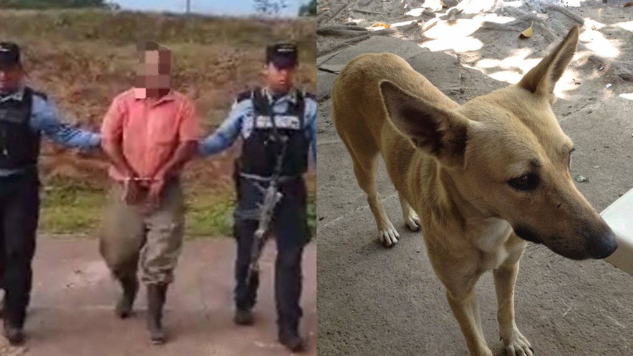 ¡Con un machete! Hondureño de la tercera edad le quitó la vida a un perro