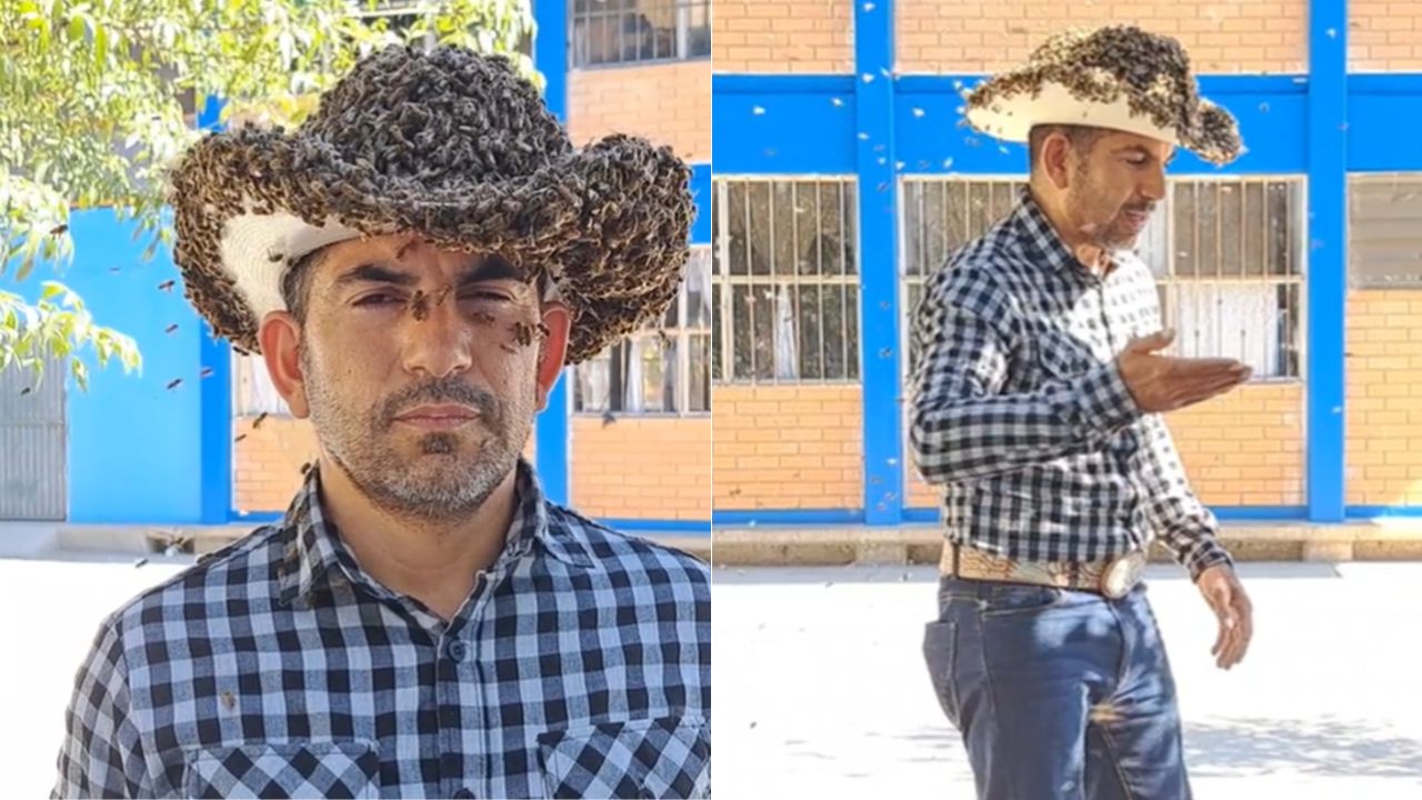 'El hombre colmena': Individuo utiliza sombreros con enjambres de abejas