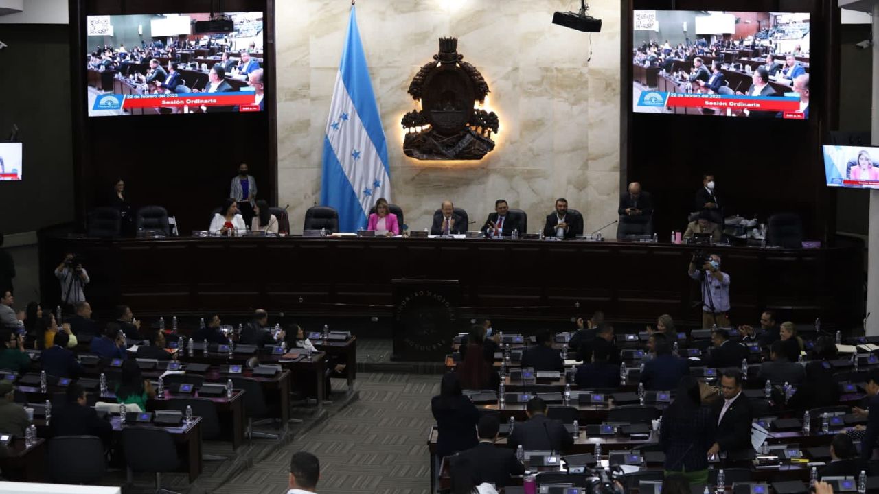 Analista señala diversa cantidad de presuntas inconstitucionalidades del Congreso Nacional