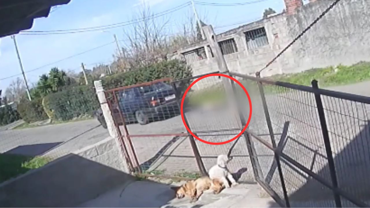 VÍDEO: Hombre atrapa y arrastra con su vehículo a un ladrón 'para darle una lección'