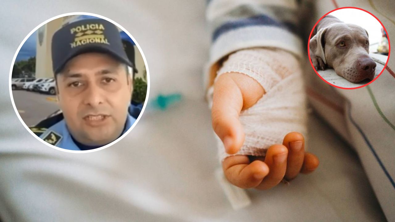 Familiar surge como principal sospechoso de abusar a niño de 4 años; le echaban la culpa a 'un perro'