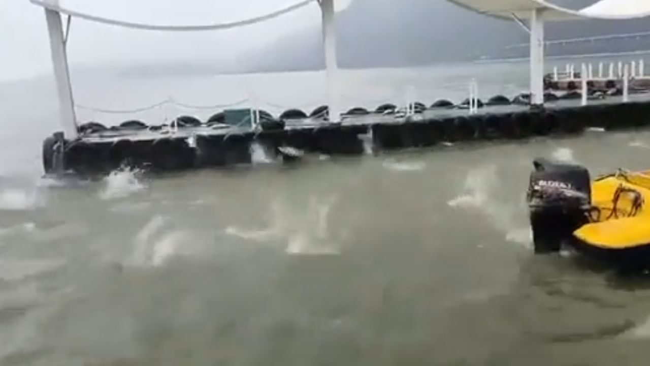 VÍDEO: ¿Auguran desastres? Captan a peces' bailando' en un lago de China