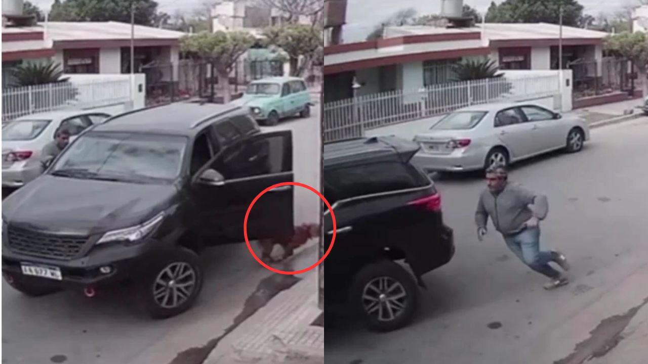 Perro choca camioneta contra una casa; se subió y la aceleró