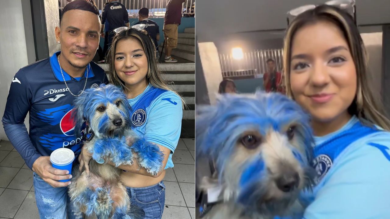 'Es 100% motagüense': Perrito 'azul' asiste al estadio para apoyar a Motagua