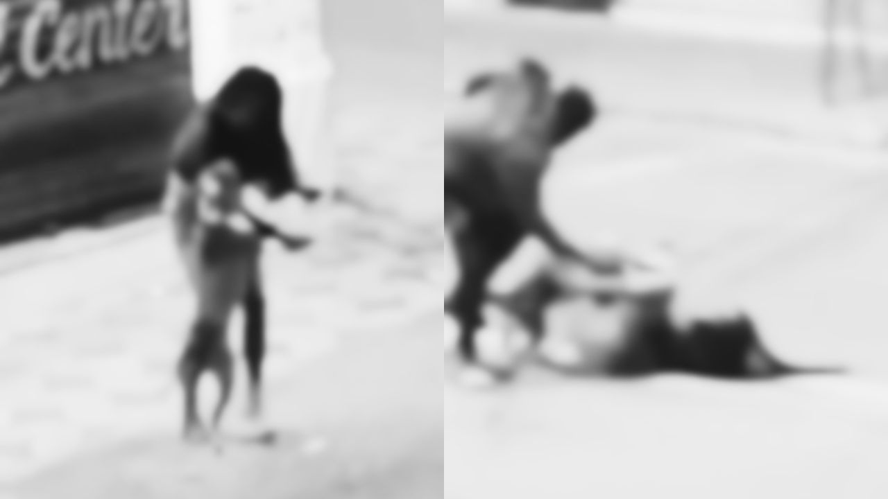 Difunden video donde un pitbull agrede a una mujer en la calle