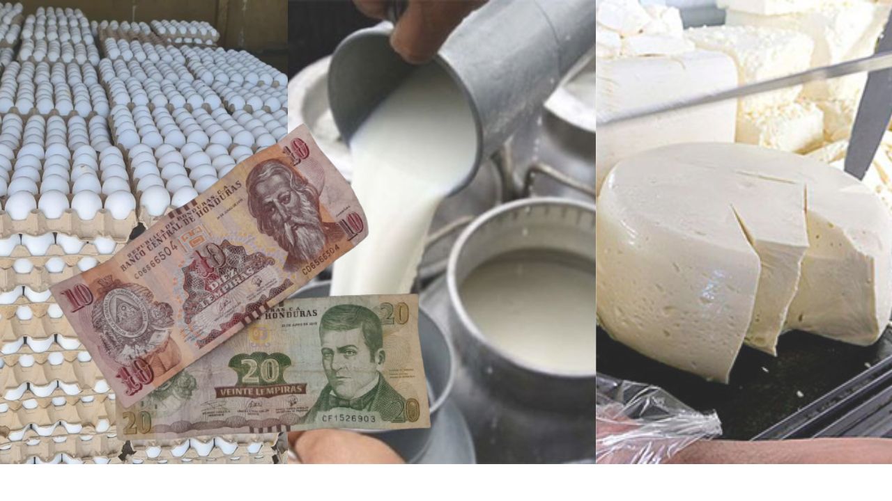 L15 aumenta precio de los huevos en mercado capitalino; leche también podría subir