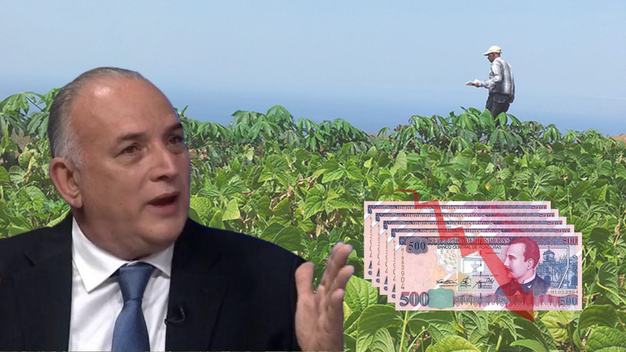 Presupuesto de sector agrícola no es suficiente, lamenta Santiago Ruiz