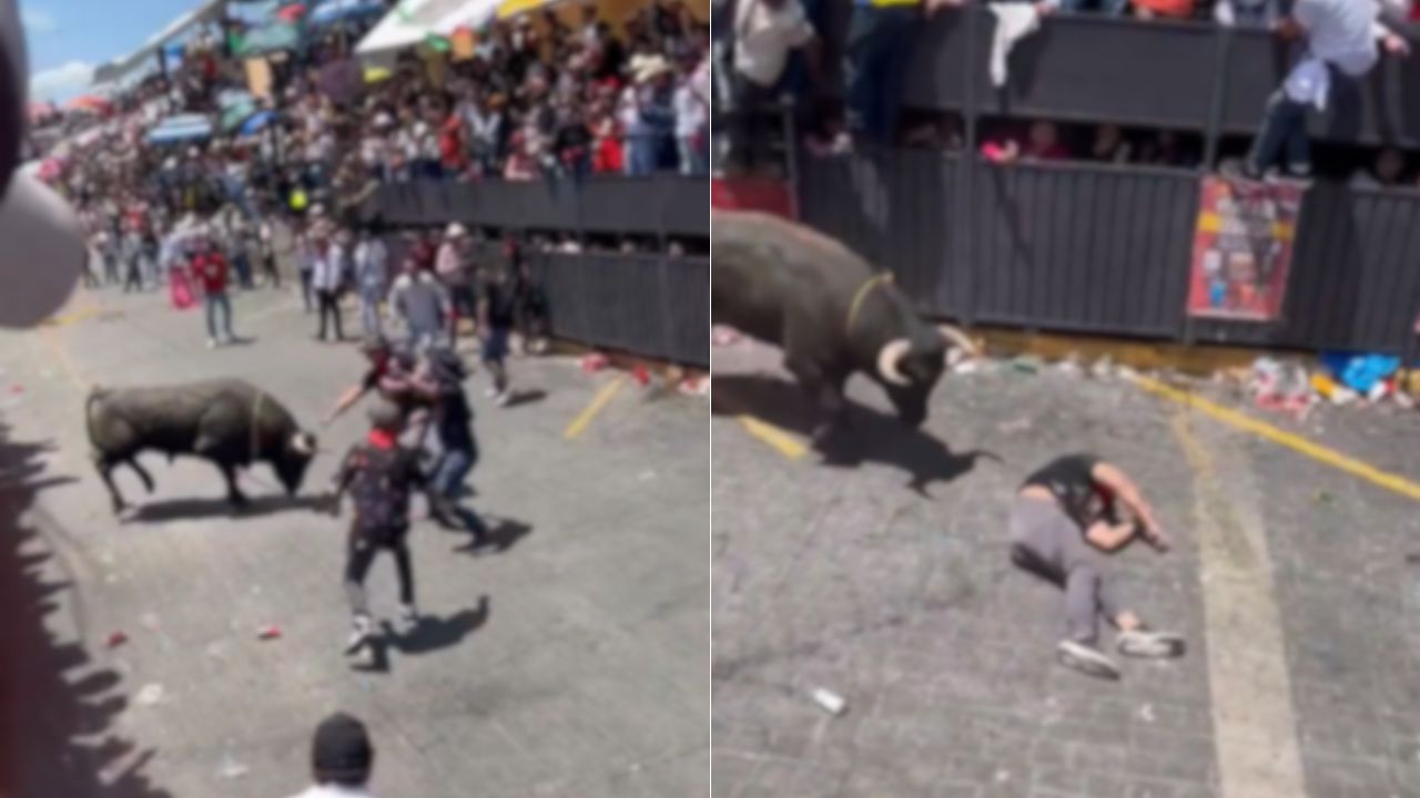 Imágenes sensibles: Toros embisten a 20 personas en un evento en México