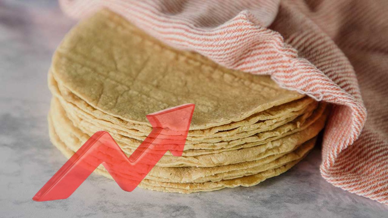 Temen que vendan las tortillas más pequeñas y delgadas debido al congelamiento del precio del maíz
