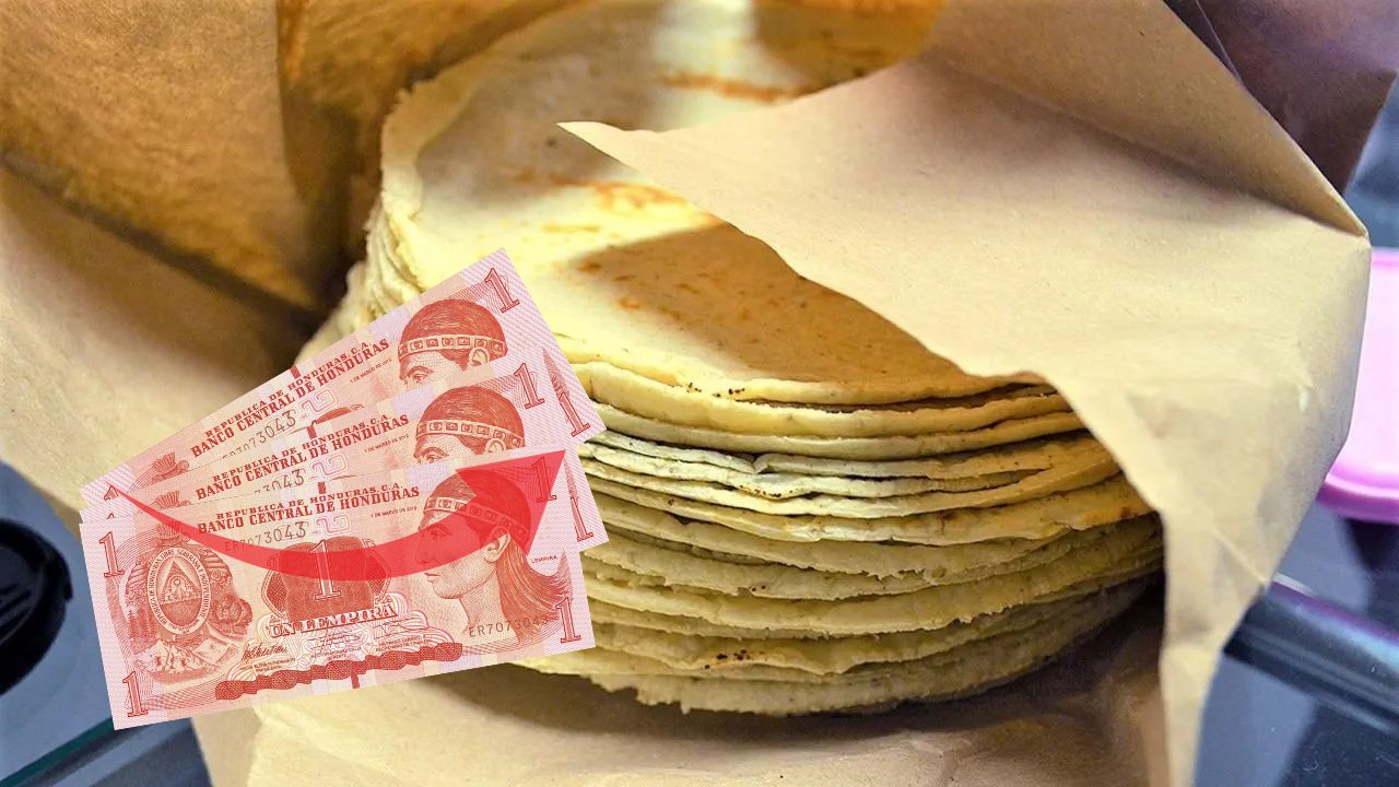 Aumentan el precio de la tortilla pese a congelamiento del costo de la harina de maíz, según Adecabah