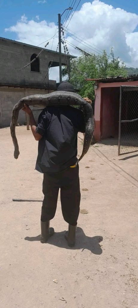 Imagen de cuerpo de nota