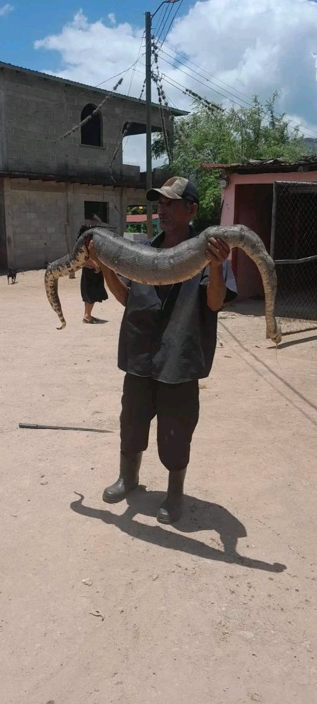 Imagen de cuerpo de nota