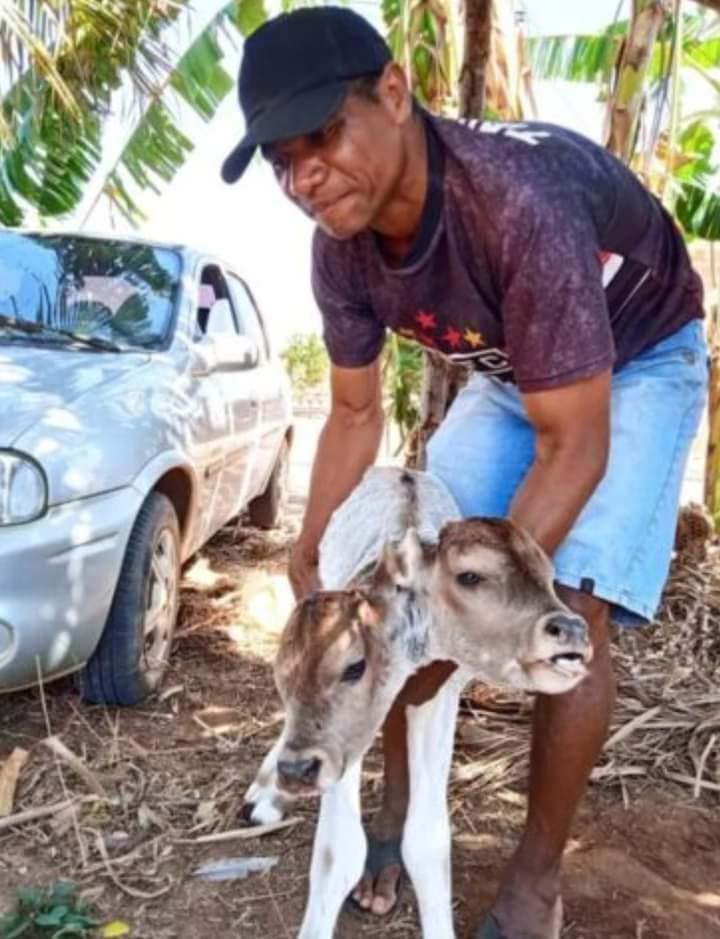 Imagen de cuerpo de nota