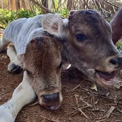 Imagen de cuerpo de nota