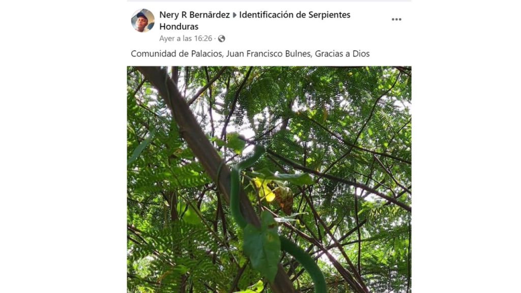 Imagen de cuerpo de nota