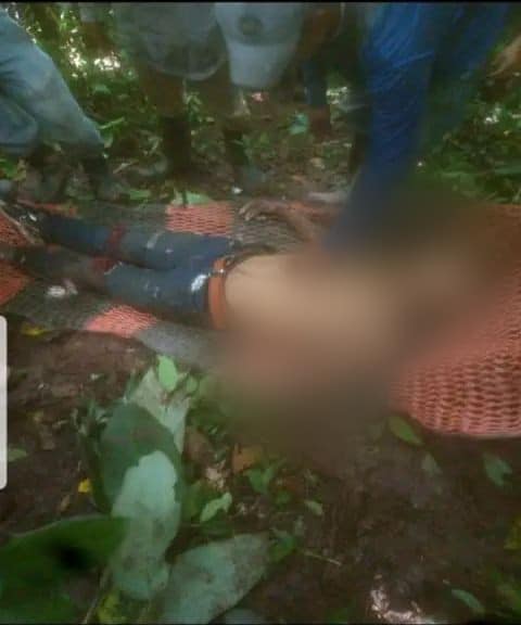 Imagen de cuerpo de nota