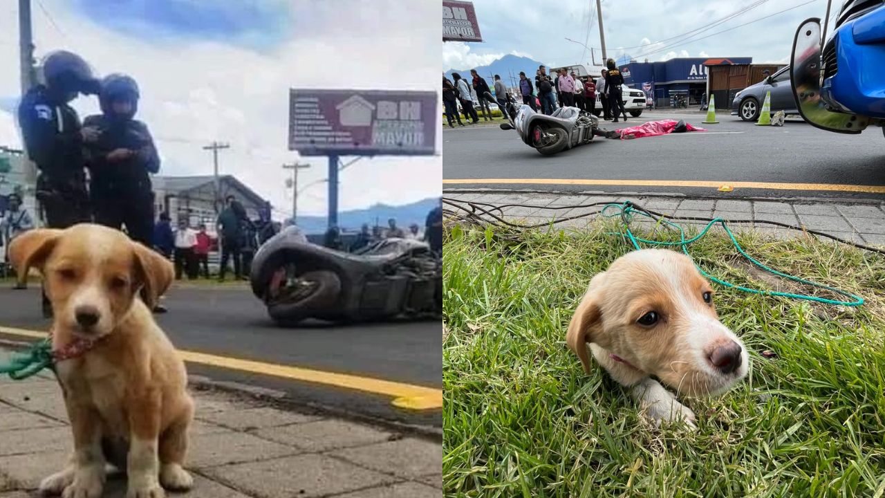 La tristeza de Botas por la muerte de Débora Reynosa ha conmocionado a miles de internautas. Foto: Redes sociales