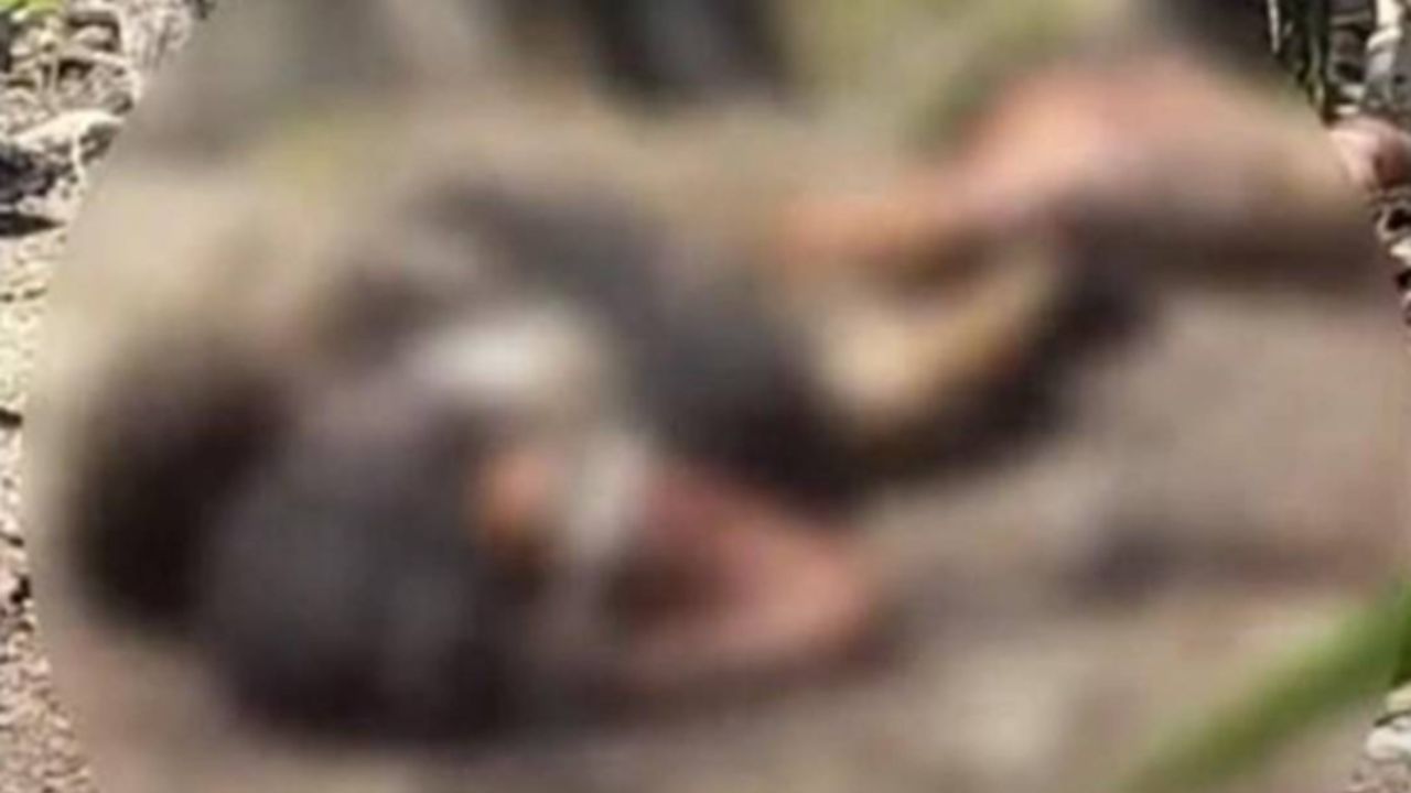 Los agresores dejaron los cuerpos uno al lado del otro. Foto: Cortesía