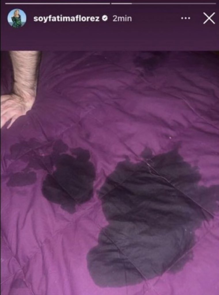 La foto que borró Fátima Florez en la cama con Javier Milei. Foto: Redes sociales