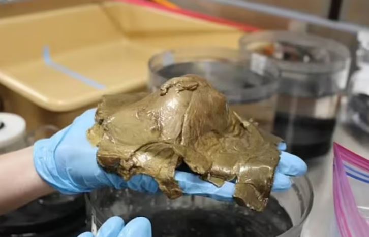 Imagen de cuerpo de nota