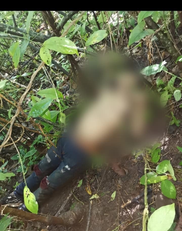 Imagen de cuerpo de nota