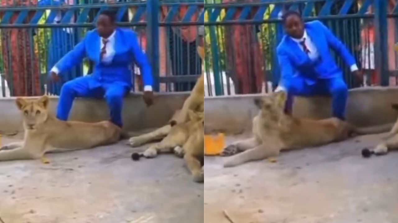 'Daniel no se metió a la fosa, lo lanzaron', critican a pastor por meterse a celda con leones