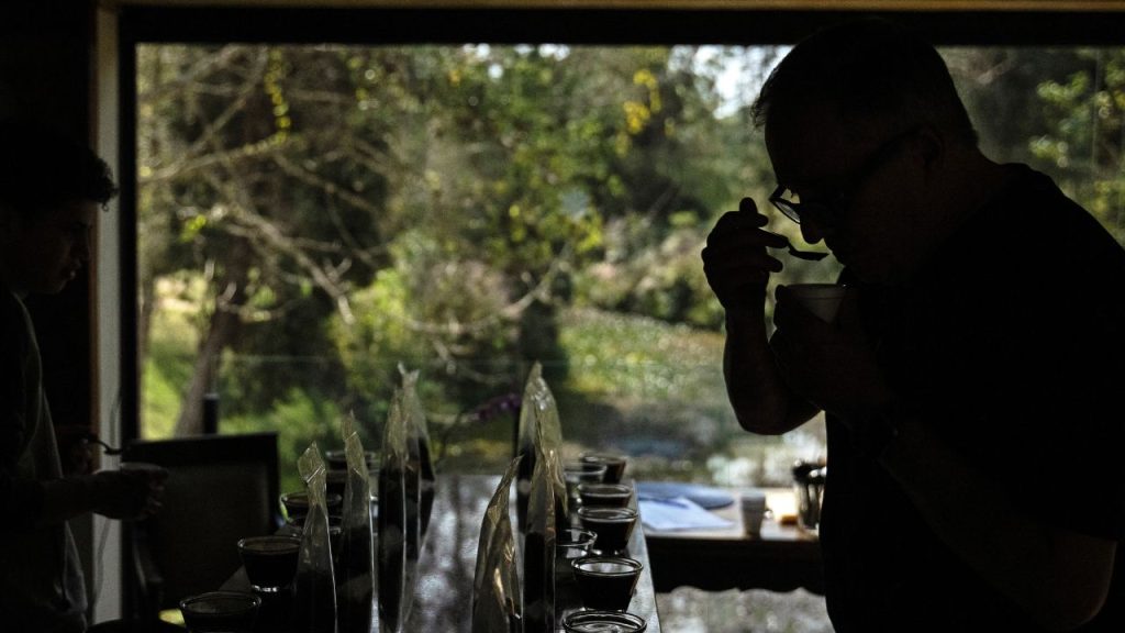 Imagen de cuerpo de nota