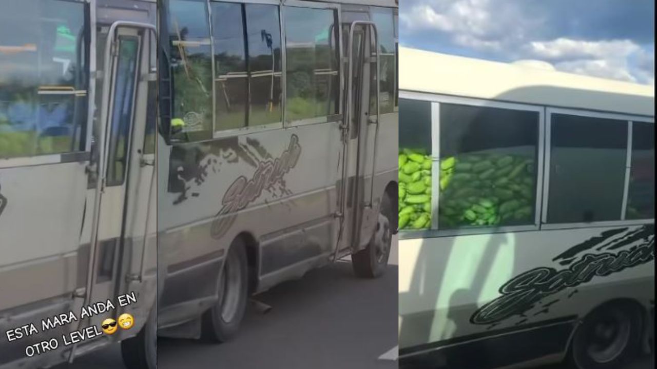 ¡Nuevo emprendimiento! Captan  bus de ruta lleno, pero de aguacates